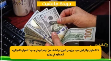 8.5 مليار دولار لأول مرة.. رئيس الوزراء يكشف عن رقم تاريخي جديد للموارد الدولارية المحلية في يوليو 1